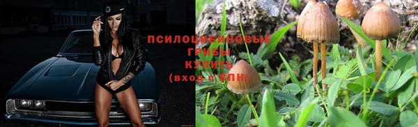 ALPHA PVP Беломорск