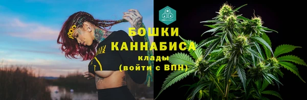твердый Богданович