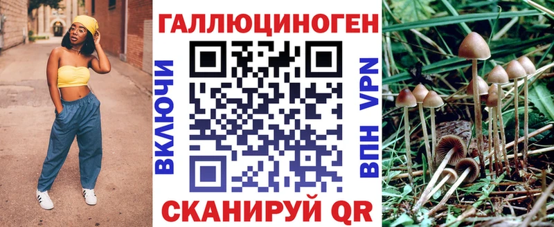Псилоцибиновые грибы прущие грибы  наркота  Бикин 